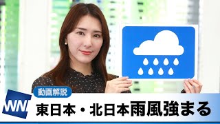 お天気キャスター解説 あす 11月9日(火)の天気