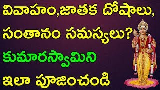 వివాహం,జాతక దోషాలు, సంతానం సమస్యలు  కుమారస్వామిని ఇలా పూజించండి | how to offer prayer kumara swamy