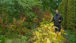 Gardeners World 2024 Eps 31 Full