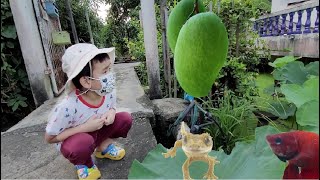 ตุ่นเที่ยวไทย l พาดูบรรยกาศเก่าๆ  สำรวจรอบบ้าน ทางปูนลัดไปสถานีรถไฟ ดูดอกไม้และพี่หมา