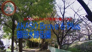 アクションカメラで紅葉を撮ってみた-お散歩動画【AKASO Brave 6 Plus@御用水跡街園】