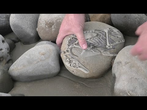 Are fossils worth anything?