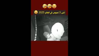 أغبى لصوص 2025 🕵️‍♂️😂 | محاولات تخفى فاشلة ستضحكك حتى البكاء!\