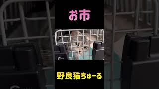 無いですよ（笑）#shorts