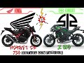 Honda Hornet cb 750 VS Kawasaki z 650 | Comparison | Mileage | Top Speed | Price | Bike Informer