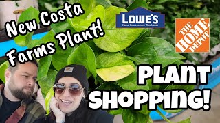 NEW POTHOS CULTIVAR!! 🌿 New Plants from Costa Farms!! ✨️ Home Depot \u0026 Lowe's in Concord, NH