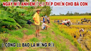 THU HOẠCH GIỐNG LÚA OM5451 NHỮNG CHIẾN BINH Ở LẠI CẮT TIẾP TỤC CHO BÀ CON TRONG MÙA DỊCH.