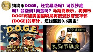 狗狗币DOGE，还会暴涨吗？可以抄底吗？会涨到1美金吗？马斯克表示，狗狗币DOGE将被美国国税局将接受政府效率部(DOGE)的审计，短线涨到0.6美金！马斯克狗狗币|DOGE行情分析!