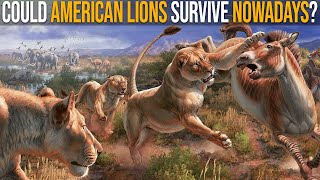Could American Lions Survive Nowadays?