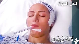 ولدت زينان مبكرًا - نبض الحياة