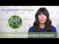 blueberry powder benefits antioxidant fruits professional supplement review