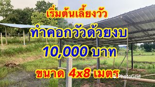 EP3 สร้างคอกวัวแบบโล่ง ด้วยงบ 10,000 บาท  เริ่มต้นทำฟาร์มวัวมือใหม่