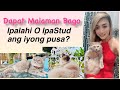 DAPAT MALAMAN BAGO IPALAHI O IPASTUD ang pusa? By: Starkitty Cat #catlover #cat CATVLOG #5