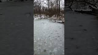 SMC LLC is live! The Frozen Lake #lake Deer |l @SASA-PGM468  || #livestreaming  #viral #trending