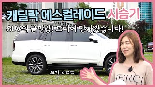 캐딜락 에스컬레이드 시승기…SUV의 끝판왕! 드디어 타호의 형을 만나봤습니다 CADILLAC ESCALADE l 씨카고 리얼 시승기