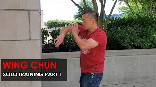 Solo Training Drills Part 1 - Wing Chun, Kung Fu Report - Adam Chan