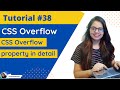 CSS Overflow Property | Visible | Hidden | Scroll | Auto | Overflow-x | Overflow-y | Tutorial #38