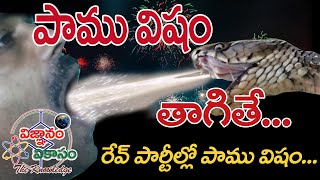 Swallowing Snake Poison / పాము విషం తాగితే