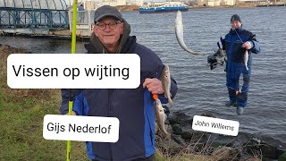 Vissen op wijting aan het Noordzeekanaal