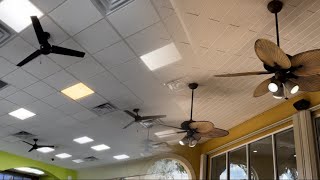 Hunter Cassius 44” and Fanimation Belleria Ceiling Fans at Pollo Tropical