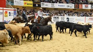 Cody Johnson competes in horse cutting