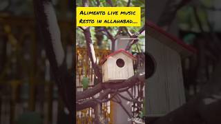 Live Music Resto In Allahabad #prayagraj #alimento #restaurant #familyvlog