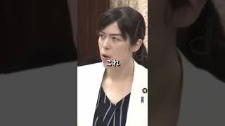 【小野田紀美】徴収ありきで子供に養育費を！あらかじめ給料から天引きするべし【国会】【切り抜き】#short