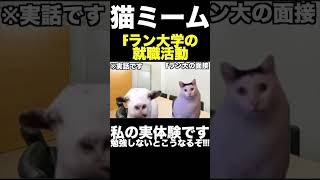 【猫ミーム】Fラン大学生の終わっている就職活動(全部主の実体験です) #Shorts #猫ミーム #猫マニ