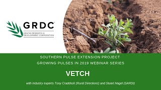 Growing Pulses in 2019 Webinar: Vetch