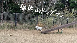 稲佐山ドッグラン