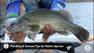 Handling and Release Tips + How to Safely Release Floating Fish