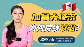 加拿大经济为何持续衰退？｜经济学小白