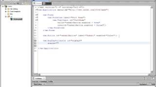 First Steps in Flex - Forms