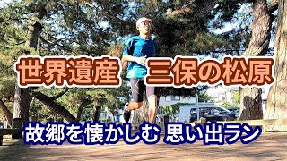 【世界遺産 三保の松原を巡る 思い出ラン】しるしるぼうず