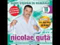 Nicolae Guta - Straine, straine (Audio oficial)