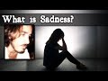 What is Sadness?