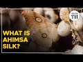 What is 'ahimsa silk' and how is it made?