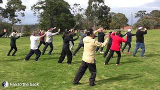 Yang Tai Chi Levels 3 \u0026 4 Back View