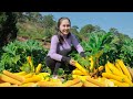 Harvest Zucchini and bring them to the market sell - cooking| Emma Daily Life