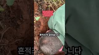 이틀 넘게 토끼굴을 수색한 끝에 개를 찾은 가족