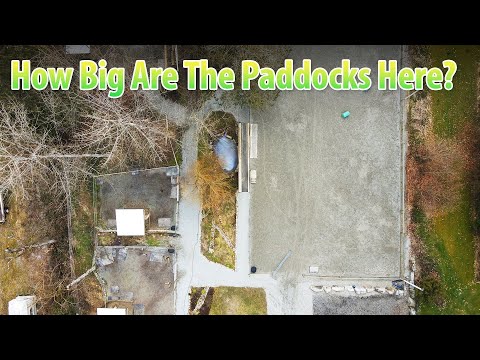 How big of a paddock does a horse need?