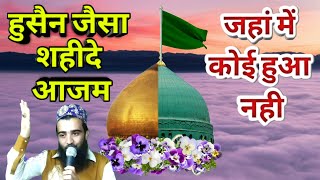 हुसैन जैसा शहीद ए आज़म जहां में कोई हुआ नही है | Muharram Dard Bhara Kalam | Faisal Raza hashmati