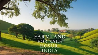 farmland for sale near jawalagiri hosur - farmland for sale near jawalagiri hosur -  2024 - 9