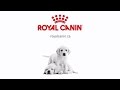 Royal Canin – Chiot