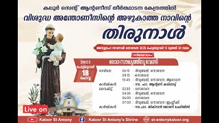 നൊവേന | 09.15AM | 18 FEBRUARY  2025 | TUESDAY | കലൂർ വി.അന്തോണീസിൻ്റെ  തീർത്ഥാടന കേന്ദ്രം