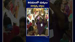 Devotees Rush in Tirumala Temple | తిరుమలలో చుక్కలు చూస్తున్న భక్తులు | ZEE Telugu News