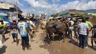 குப்பநத்தம் காளைவிடும் திருவிழா