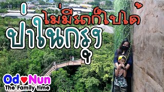 รีวิวไปเที่ยวโครงการป่าในกรุงแบบไม่ง้อรถส่วนตัว - Vlog Od Nun