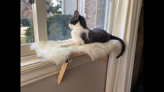 Cat Window Perch - With Add-On