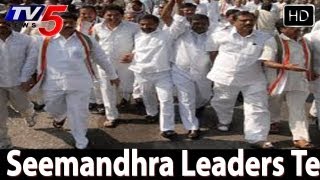 Seemandhra Congress leaders to give up fight for united AP  - TV5